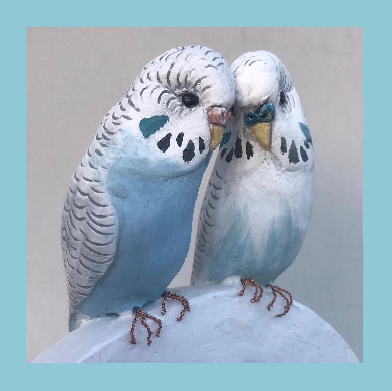 Budgies by Carol Jackson-kitchen. – Christine Cummings
