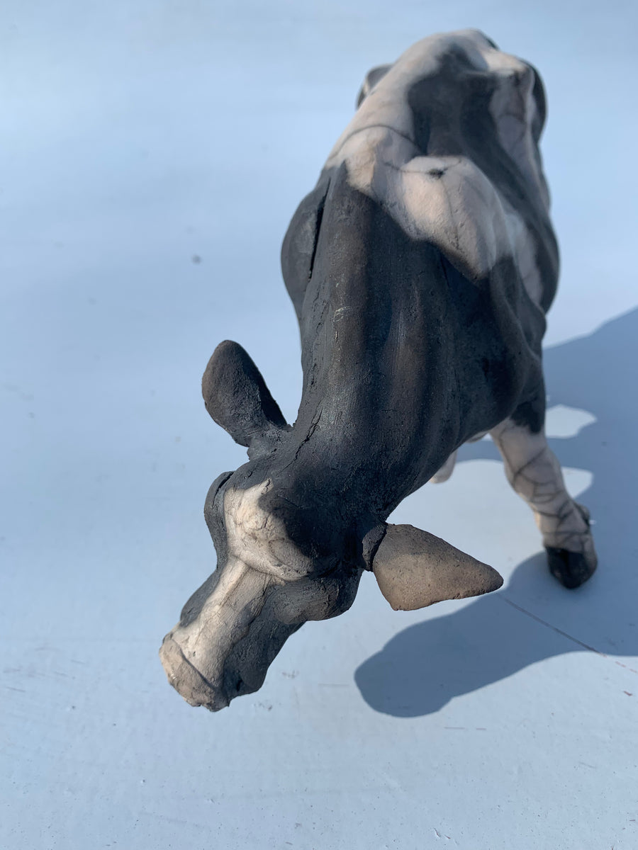 Wandering Cow Christine Cummings