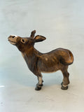 Happy donkey