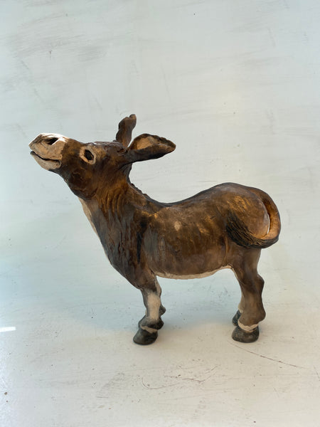 Happy donkey