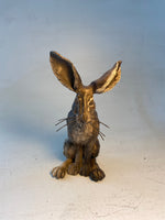 Pensive hare