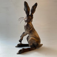 Listening hare