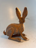 Startled hare