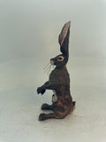 Alert hare