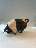 Saddleback sow