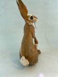 Alert hare( second)