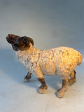 Large ram