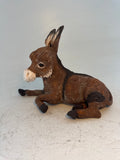 Little donkey