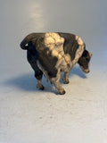 Fresian cow 2