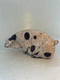 Large sitting spotty