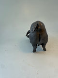 Snuffling saddleback