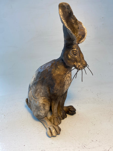 Pensive hare