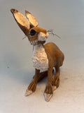 Startled hare