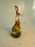 Hare on small hill