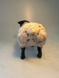 Standing ewe( second)
