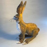 Wary hare (second)