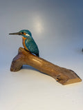 Kingfisher on branch