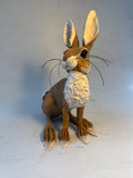 Listening hare