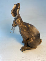 Pensive hare