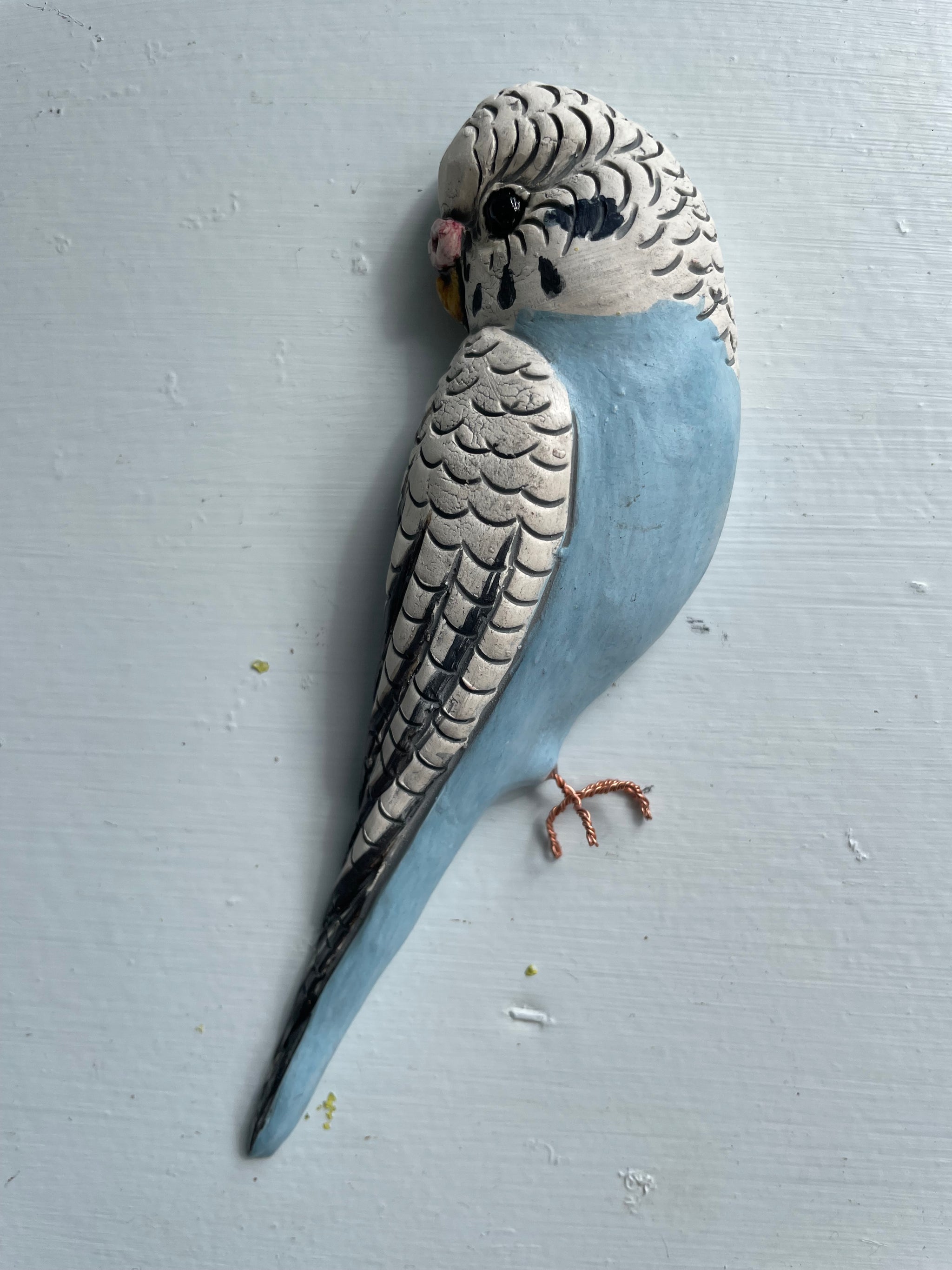 Budgies by Carol Jackson-kitchen. – Christine Cummings
