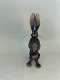 Alert hare