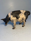 Fresian cow