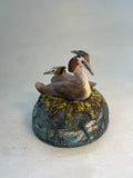 Nesting grebes