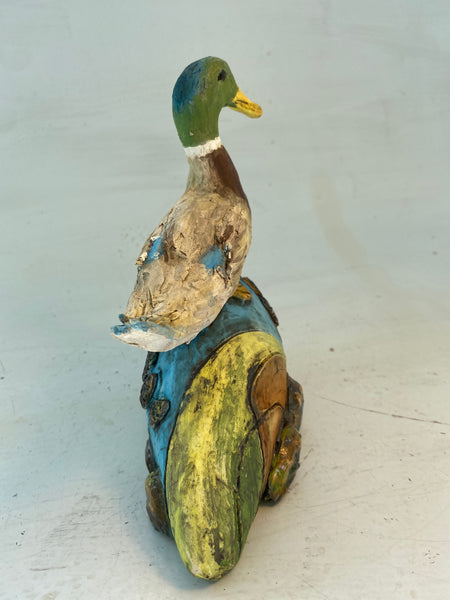 Mallard on hill