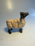 Bargain small sheep