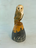 Sunset barn owl