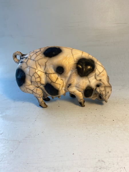 Medium old spot sow