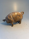 Turning coloured sow