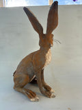 Bargain hare