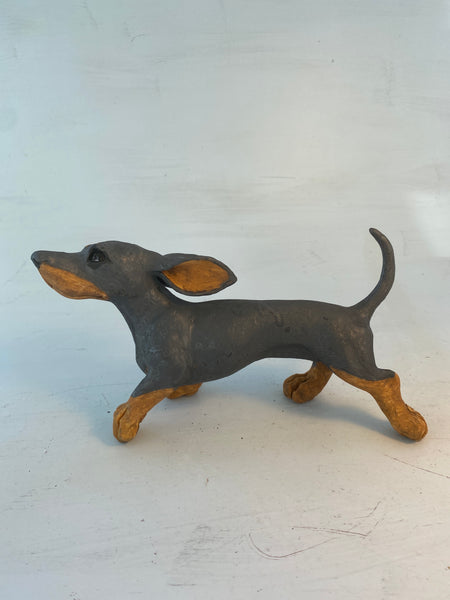 Running dachshund