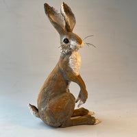 Sitting hare
