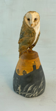 Sunset barn owl
