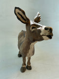 Laughing donkey