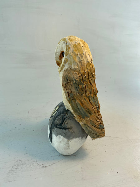 Barn owl on winter hill