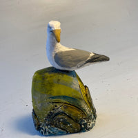 Seagull on rocks