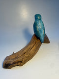 Kingfisher on branch