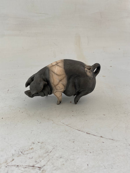 Snuffly saddleback(second)