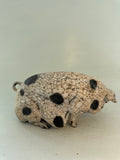 Large sitting spotty