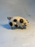 Old spot sow