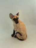 Looking back Siamese