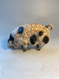 Medium old spot sow
