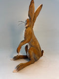 Brown hare