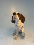 Patient spaniel