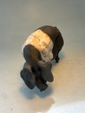 Saddleback sow