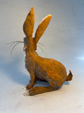 Listening hare