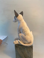 Bullie on a box